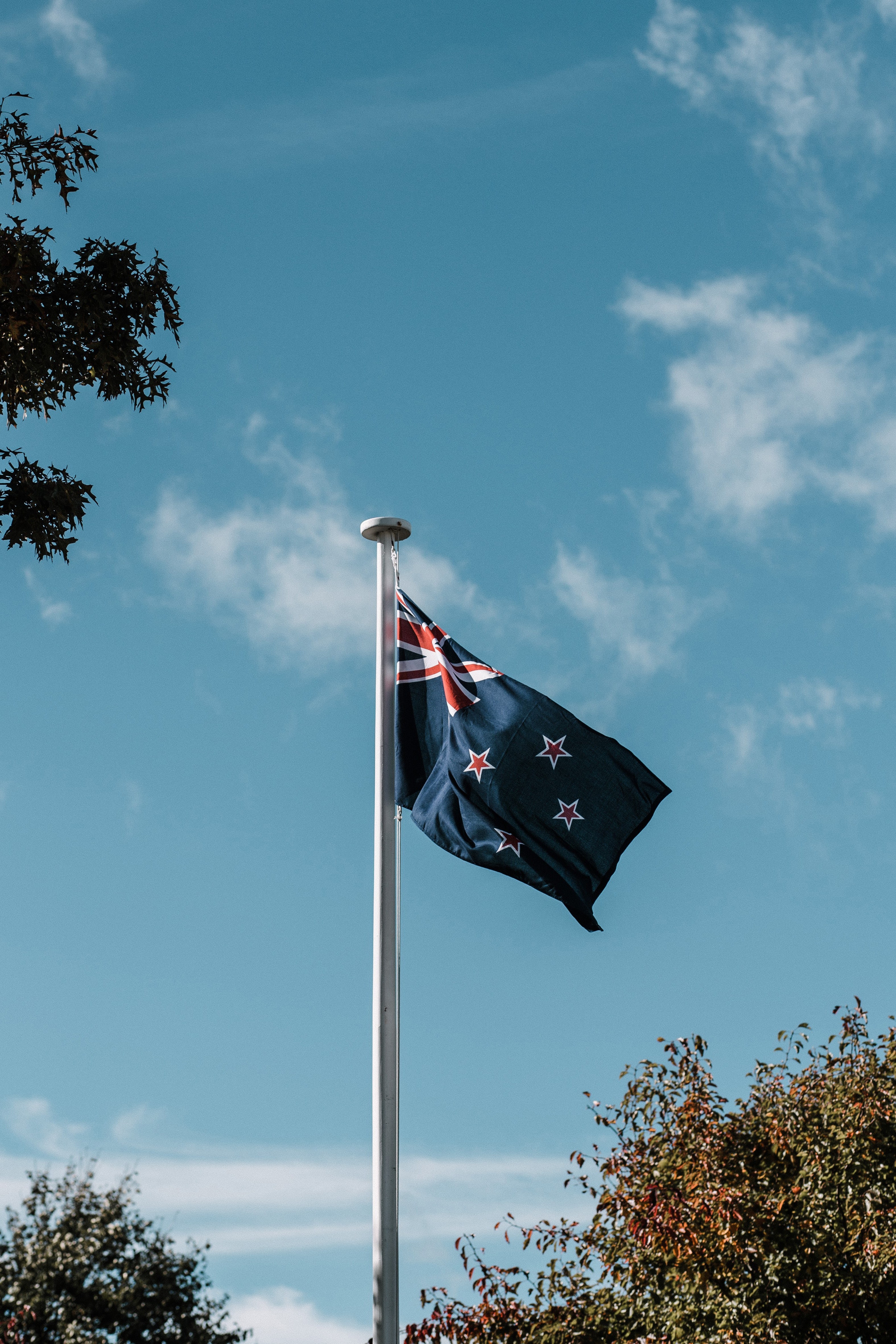 Teachers in New Zealand are joining industry’s biggest strike in the country’s history