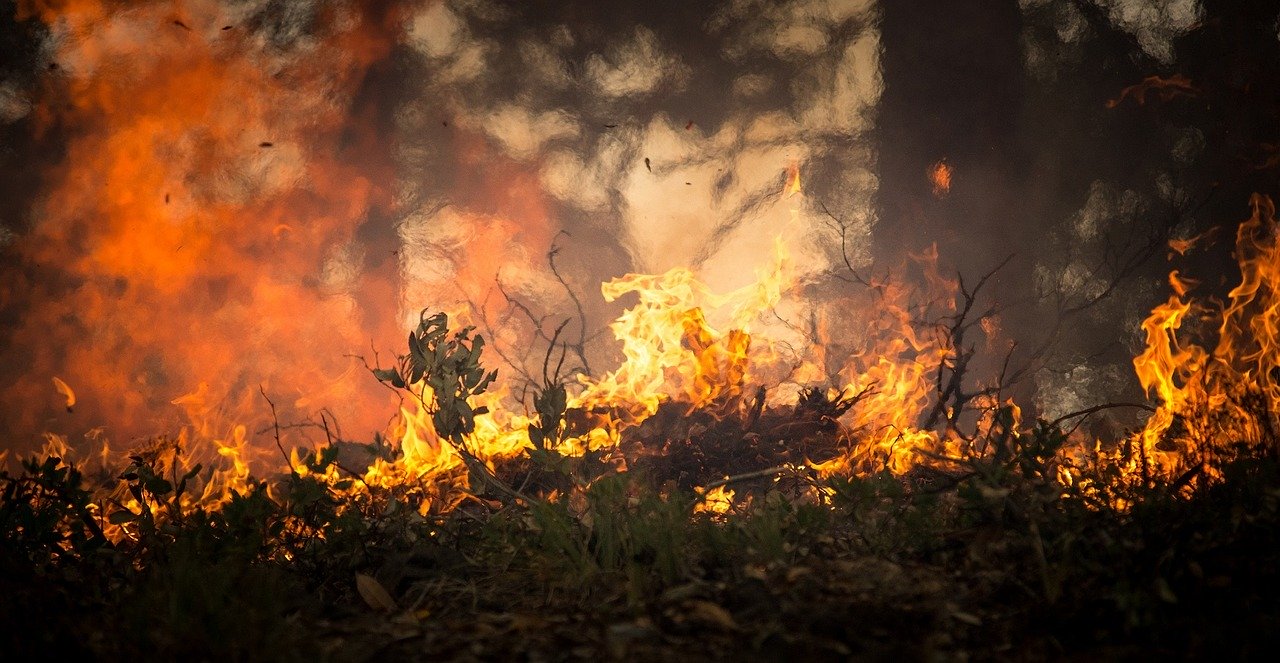 Long-term health harm may be caused by wildfire smoke